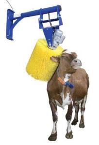 Cow Grooming Brush