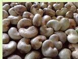 Raw Cashew Nuts