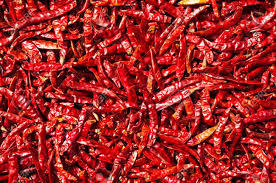 Dried Red Chilly 