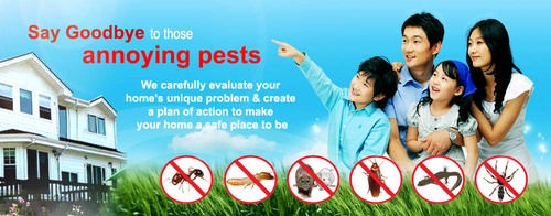 Pest Control Service Provider