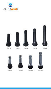 Tubeless Valves