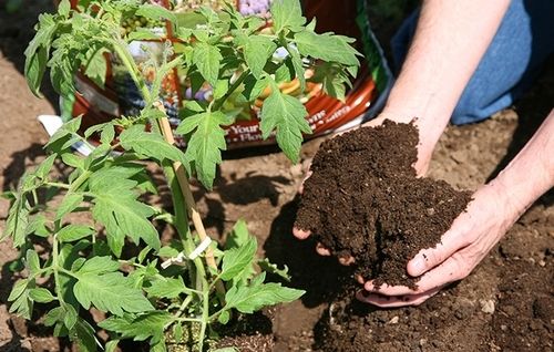 Organic Manures