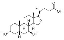  Ursodeoxycholic