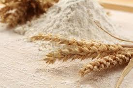 Good Quality Wheat Flour