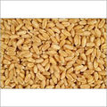 Brown Organic And Pure Wheat