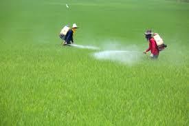 Agricultural Herbicides