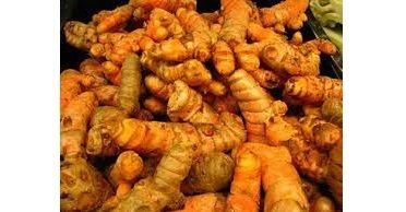 Turmeric Finger - Organic, Pure Turmeric Root for Culinary, Medicinal, and Dyeing Uses | 100% Natural, No Artificial Colors, Versatile Health Benefits