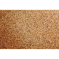 Milling Wheat