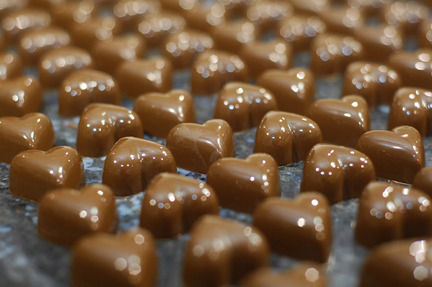 Plain Milk Chocolates