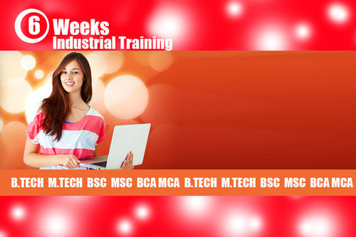 6 Weeks Industrial Training Service