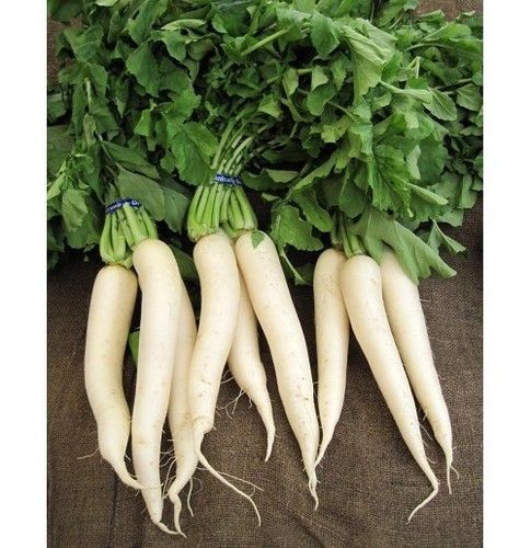 Fresh White Radish