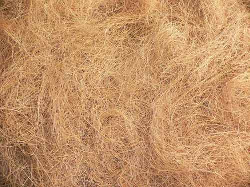 Coir Fibre