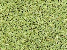 Fennel Seed - Hygienically Processed, Premium Quality for Culinary and Medicinal Use