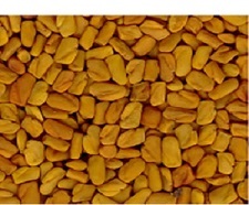 Fine Enrich Fenugreek Seed