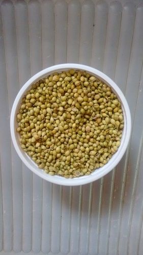 Coriander Whole Seeds