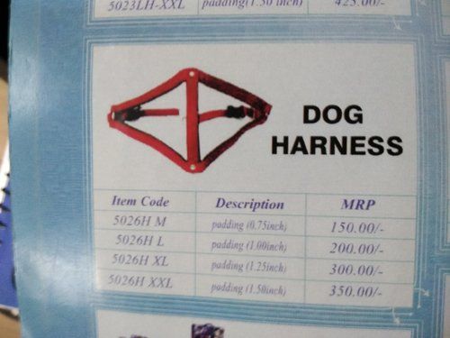 Dog Harness