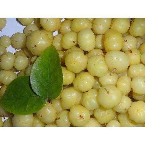 Amla Fruit