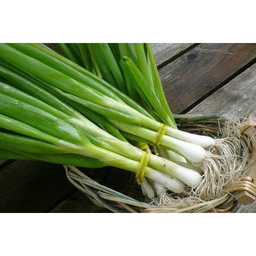 Green Onions - Organic Fresh Green Staple Vegetable | Packed in Durable Plastic Bags, No Artificial Flavour