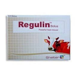 Regulin Bolus