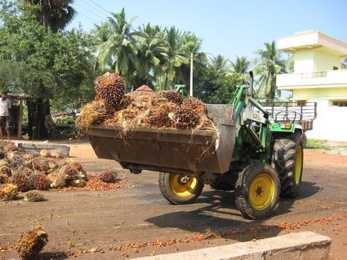 Front End Loader For Handling Fruit Pulp Handling