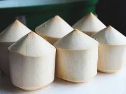Natural Trimmed Fresh Coconut