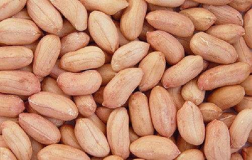 Peanut Kernels