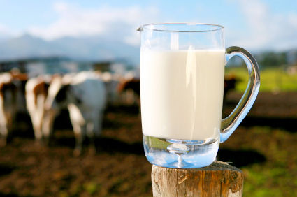 Premium Raw Milk