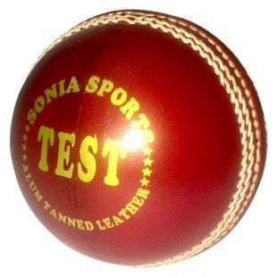 Cricket Leather Ball