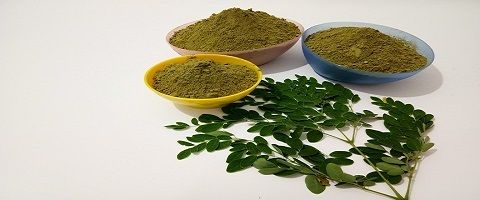 Moringa Powder