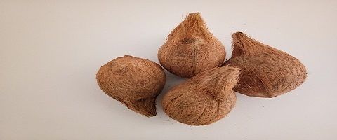  सेमी हस्केड नारियल 