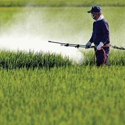Spray Chemical Agricultural Pesticides