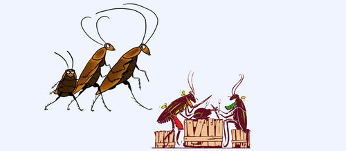 Cockroach Management Service By Bitco Pest Control Service