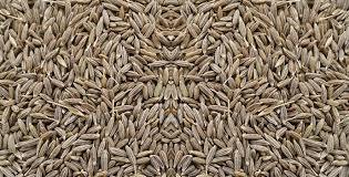 Cumin Seeds