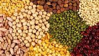 Indian Pulses