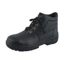 Capricorn Safety Shoes