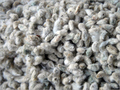 Cotton Seeds - High Quality Naturally Processed Seeds | Strict Quality Checks, Industry Leading Standards