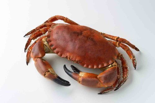 Delicious Crabs