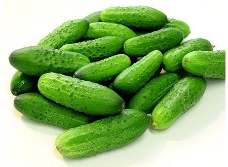 Fresh Gherkin - Aseptic Bag-in-Drum 215/225/228 kg | Refreshing Taste, Rich Flavor, Healthy Choice