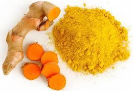 Fresh Turmeric Powder