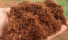 High Grade Coir Pith