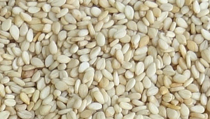 Organic Sesame Seed White (Till)