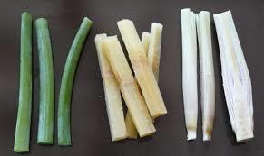 Sugar Cane Sticks - Naturally Cultivated, Juicy & Sweet | Disease Free, Tamper-Proof Packaging for Freshness