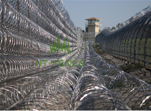 Concertina Razor Wire