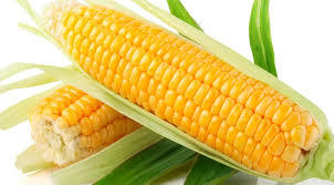 Export Quality A Grade Yellow Maize