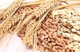 Export Quality Grade A Wheat Usage: Factory Meterial