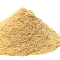 Lemon Peel Powder