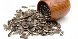 Paramount Quality Sunflower Seeds