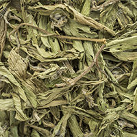 Stevia Dry Leaves