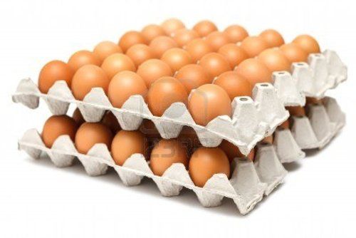 Egg Trays