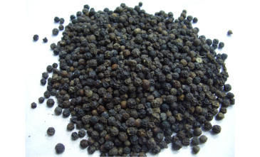 Black Pepper